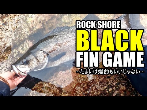 【爆釣】五島列島のヒラスズキ