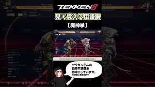【鉄拳8】見て覚える用語集【魔神拳】