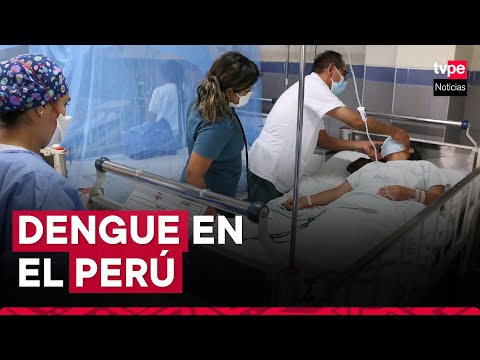 Dengue en el Perú: Minsa evaluará declarar en emergencia regiones afectadas