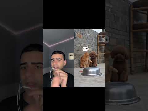 ⚠️TRAVESURA SALE MAL⚠️