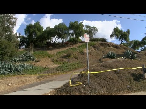 National City Homicide at Teen House Party