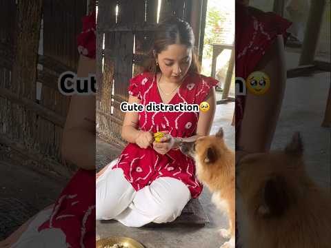 Can’t even cook without my little shadow following me everywhere 🥹🐶