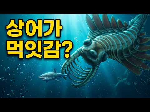 상어가 금붕어처럼 보이게 하는 괴물을 발견했다