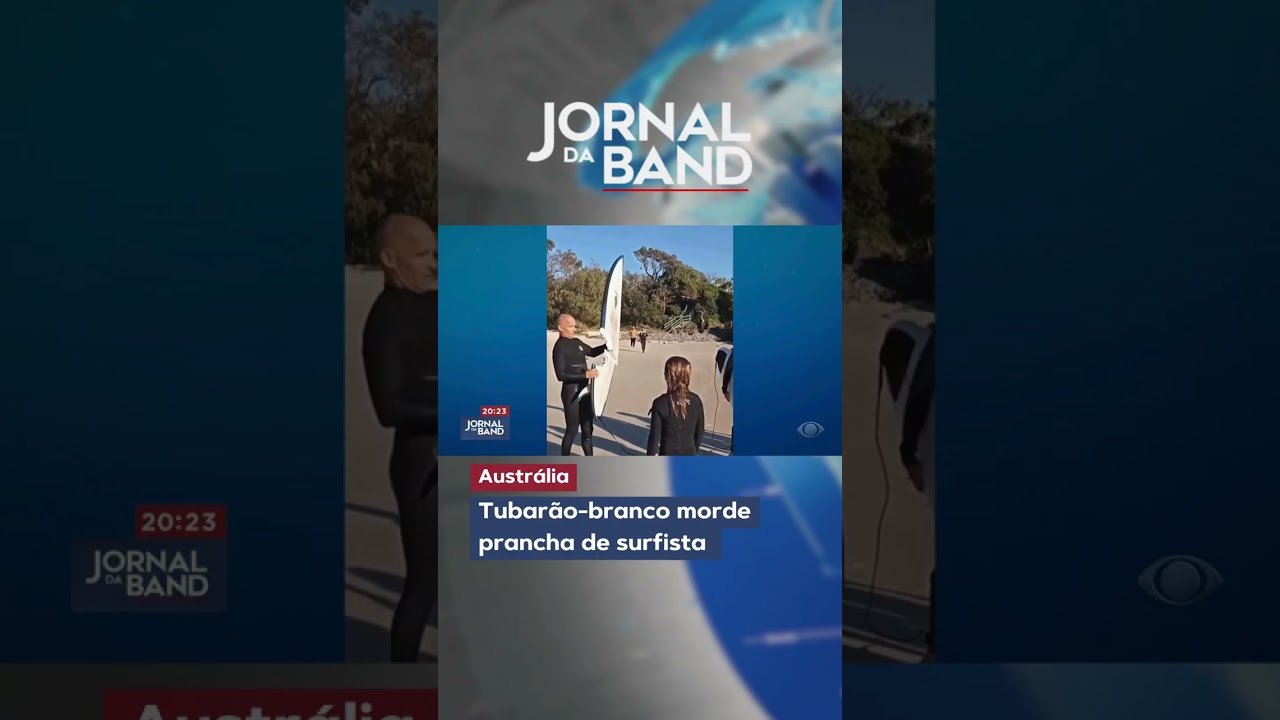 Tubarão-branco morde prancha de surfista na Austrália