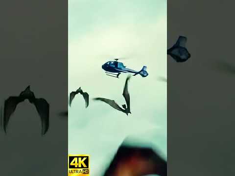 Dinosaur Birds Unleashed! The Deadliest Air Attack in Jurassic World 😳🦅