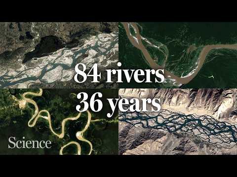 How rivers chart their paths