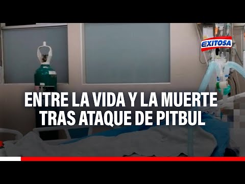Trujillo: Hombre se debate entre la vida y la muerte tras ser atacado por dos perros pitbul