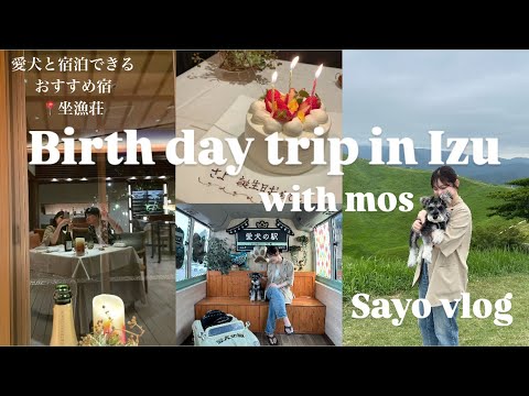 【伊豆旅行】初めての3人で伊豆旅行🎂💚愛犬と泊まれる宿やおすすめ觀光スポット🐶✨