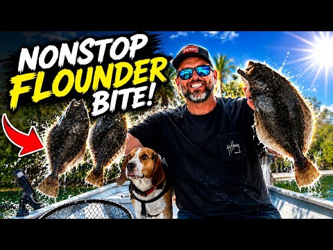 Florida flounder bite is on FIRE!! (catch, clean, cook) video thumbnail