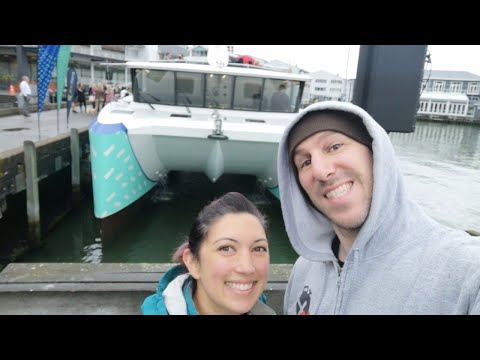 Getting a ride on an ELECTRIC ferry -- Ika Rere in Wellington, NZ