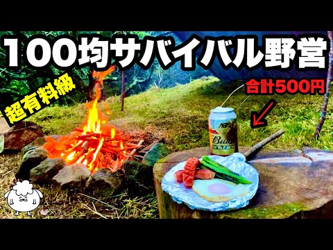 【永久保存版】総額500円。おすすめ100均ソロキャンプ装備一式でサバイバル野営【ブッシュクラフト】