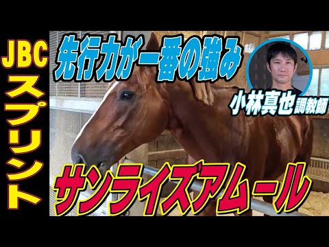 【JBCスプリント2025】サンライズアムール・小林真也調教師「以前よりは前に行かなくなったがそれを含めて大人に」「先行力が強み」《東スポ競馬》