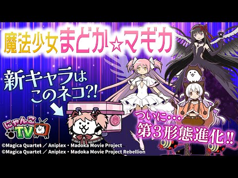 【にゃんこTV】『魔法少女まどか☆マギカ』コラボ2025にゃ！【にゃんこ大戦争公式】