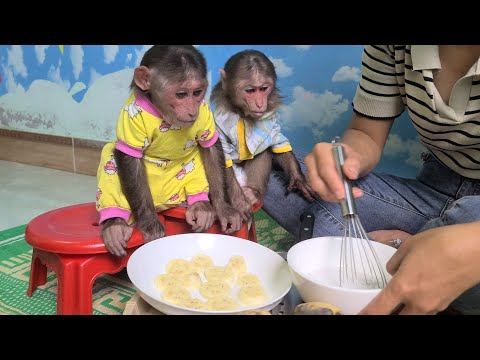 Mimi Kuku is studying hard how to make Mom's banana cake (P1)