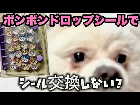 ボンボンドロップシールで透明シール帳を作ってみた【ASMR】シール交換