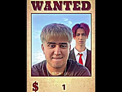 One Piece Bounty Filter 💀