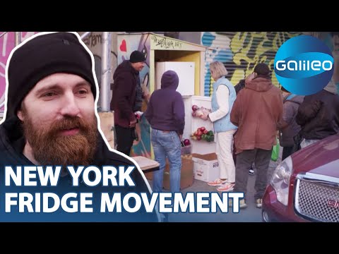 New York Fridge Movement: Gemeinschaftskühlschränke gegen Food Waste