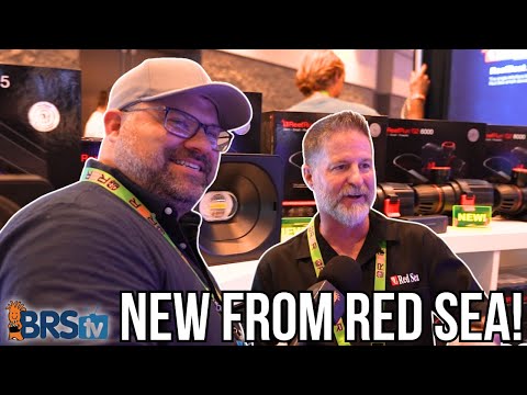 A Peek INSIDE Red Sea’s Booth at Reef-A-Palooza  Join BRStv's Brian for an exclusive booth tour with Dave from Red Sea at Reef-A-Palooza Orlando 2025
