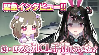 緊急インタビュー！！妹・塚本ぱるむが手術したらしい！？【塚本のべる/同人作家Vtuber】