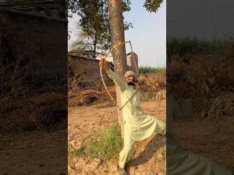 Bachy ny birds ko Bacha Lia 🦜😥 #funny #shortvideos #viralvideos