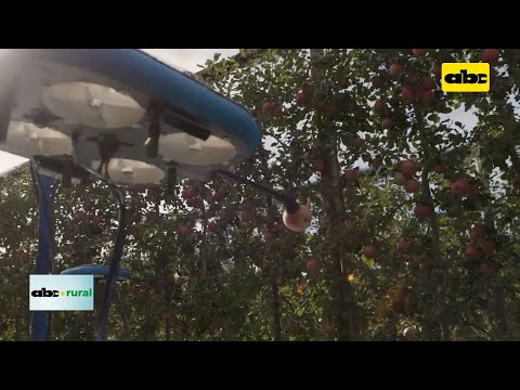 Robots voladores que cosechan frutas