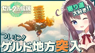 【ティアキン】ゲルド地方へ足を踏み入れる！寄り道大好き初見【ゼルダの伝説ティアーズオブザキングダム 女性実況 Vtuber なちゅモカ】11