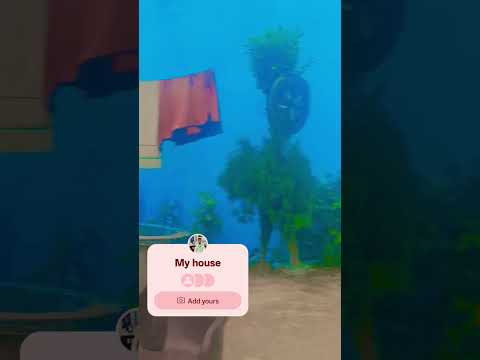 MY house 🥰👋 #bhojpuri #song