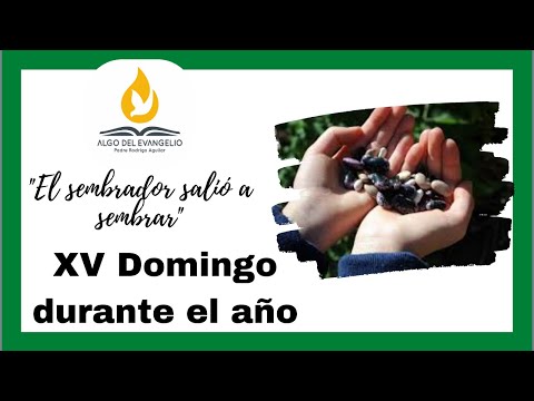 EVANGELIO DE HOY - XV Domingo durante el año - 12 de julio - Mateo 13, 1-9 - Dieron fruto