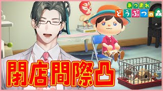 【あつまれどうぶつの森】終業後、たぬきち商店閉店前凸いたします【にじさんじ / 五木左京】