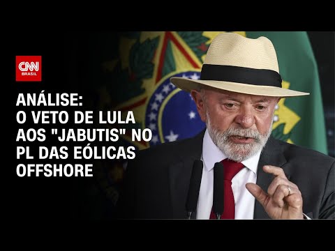 Análise: O veto de Lula aos "jabutis" no PL das eólicas offshore | WW