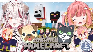 【 #ひかるいティータイム  】周年までにわんにゃんはうす完成させたいぞ🐶🐈❕【  飛良ひかり┋瀬島るい┋ななしいんく】