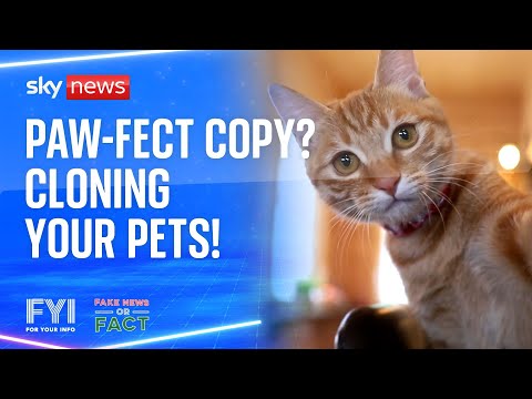 FYI: Cloning your pets!