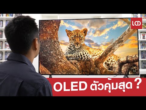 OLED-ตัวคุ้มที่สุดในตลาดมีจริง OLED-ตัวคุ้มที่สุดในตลาดมีจริง