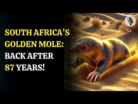 Blind Golden Mole Rediscovered After 87 Years! | WION Podcast