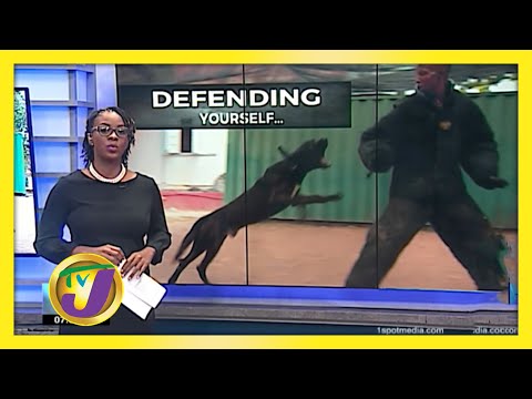 Self-Defense Against Dog Attacks - November 27 2020