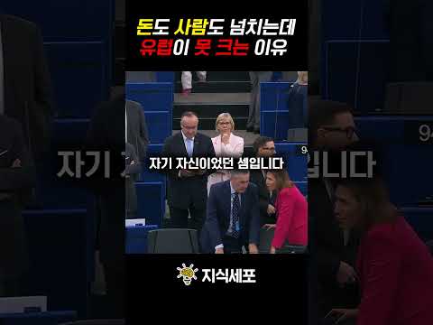 돈도 사람도 넘치는데 유럽이 못 크는 이유 #shorts