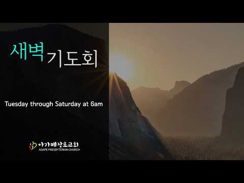 2026년 8월 12일 새벽기도회