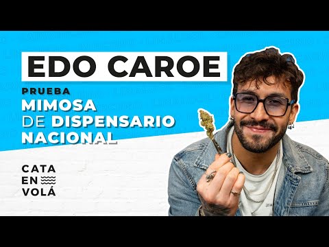 EDO CAROE VUELA EN CATA EN VOLÁ ?