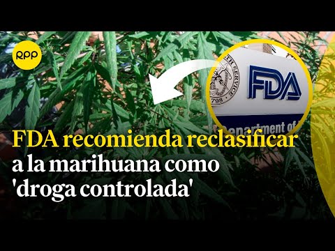 FDA recomienda reclasificar a la marihuana en su nivel de droga controlada | Espacio vital