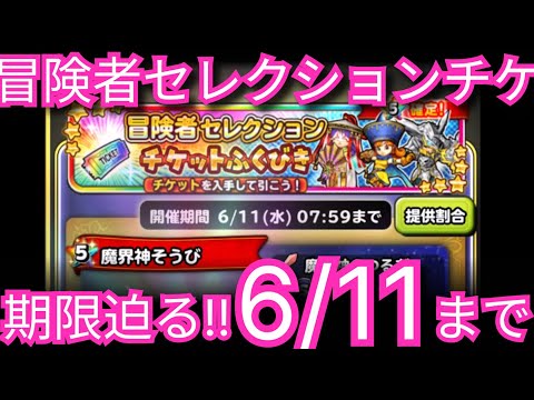 星ドラ実況735『冒険者セレクションガチャチケ期限迫る！新加護の組み合わせ』わいわい堂画