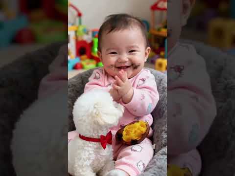 Adorable Baby and Bichon Puppy 🐶 | Too Cute to Handle! | Early Learning Fun for Kids #cute #baby