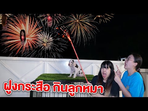 ฝูงกระสือ-บุกบ้าน-จะจับลูกหมา- ฝูงกระสือ-บุกบ้าน-จะจับลูกหมา-