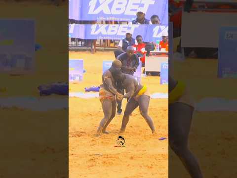 Domou dangou vs anaconda🇸🇳🏟️💪 #shorts