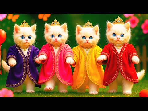 बिल्ली  डांस,💃| Cutest Cat videos funny dance 🤣 💃 Videos for cats #funny #dancingcat #cat #kitten