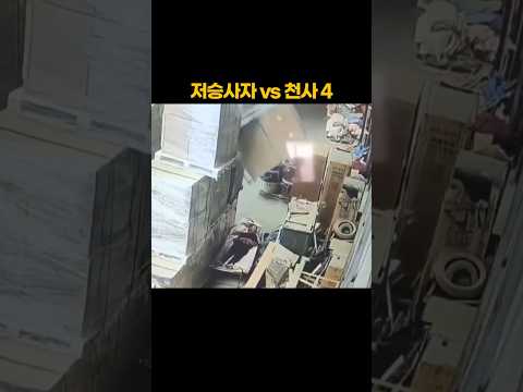 저승사자 vs <strong>천사</strong> (4편)