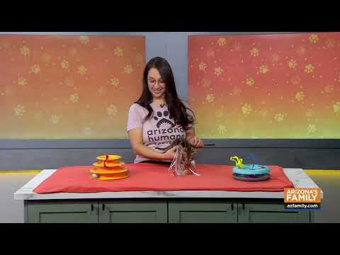 Pets on Parade (full episode) October 17, 2026