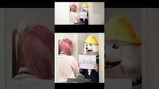 情報量が多すぎるバンド #shorts