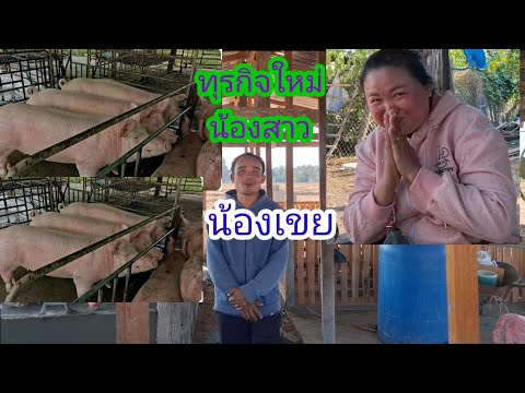 มาดูทุรกิจใหม่น้องสาวน้องเขย🐖🐖