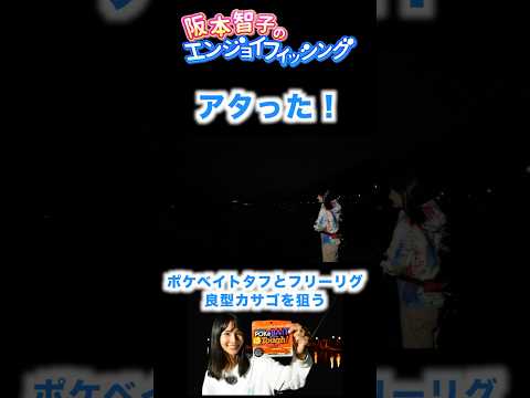 【お手軽なのに釣れる！】令和のカサゴ攻略はこれで決まり！　ポケベイトタフ&フリーリグ#ロック フィッシュ #カサゴ #夜釣り