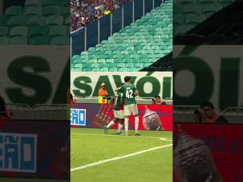 image para ilustrar o artigo